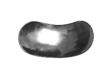 m1-0976.jpg