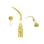 Specht P1 T EMS Goldschupperspitze