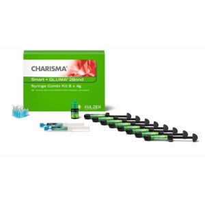 Charisma Smart Combi Set 8x4 g + GLUMA 2 Bond - Submikron-Hybrid Verbundwerkstoff